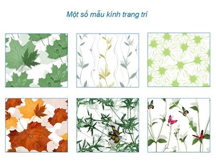 kinh-mau-hoa-tiet-licoglass (5)